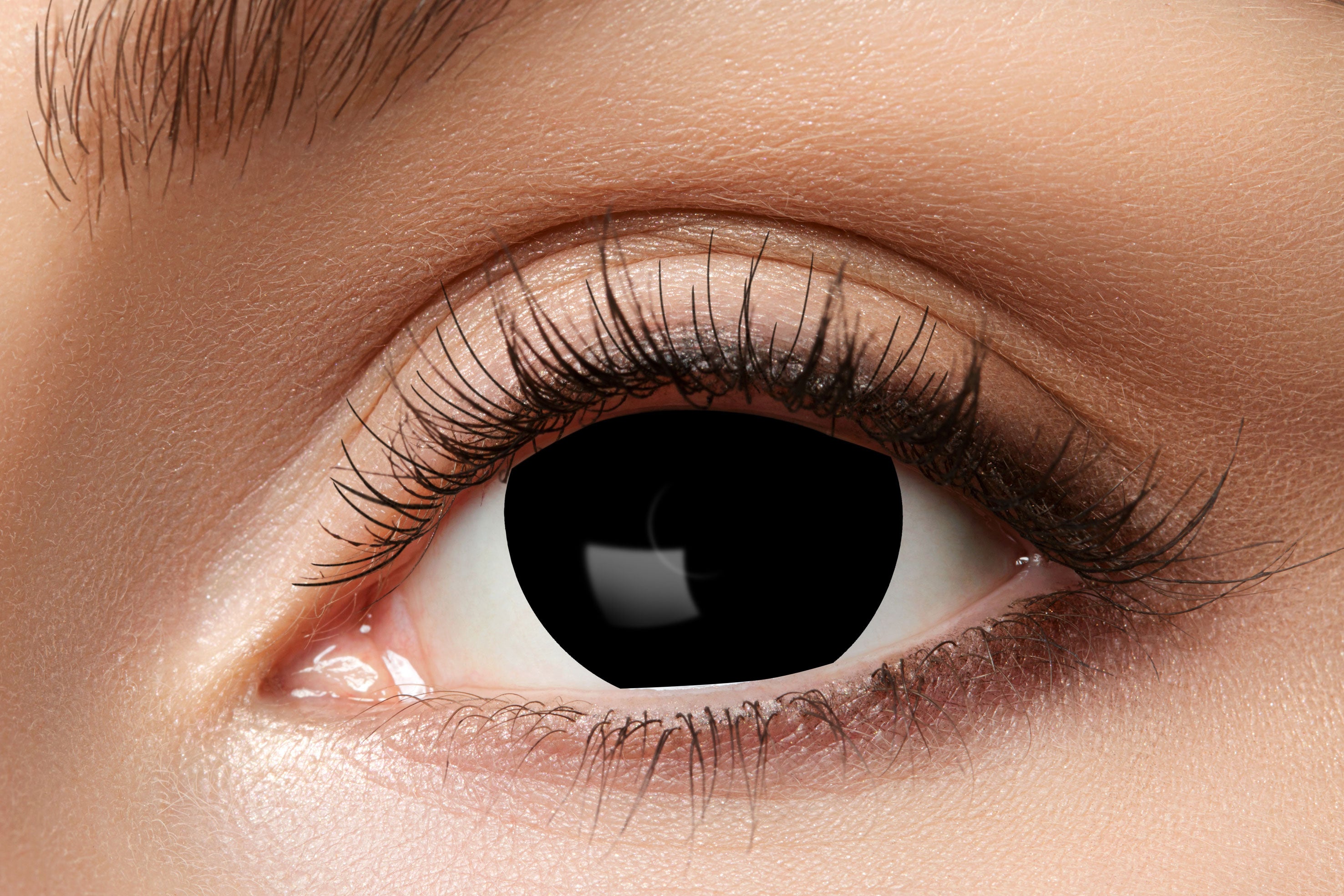 Zoelibat Eyecatcher 6 Monats-Kontaktlinsen Mini Sclera Black Eye