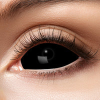 Zoelibat Eyecatcher Sclera 6 Monats-Kontaktlinsen Black Eye