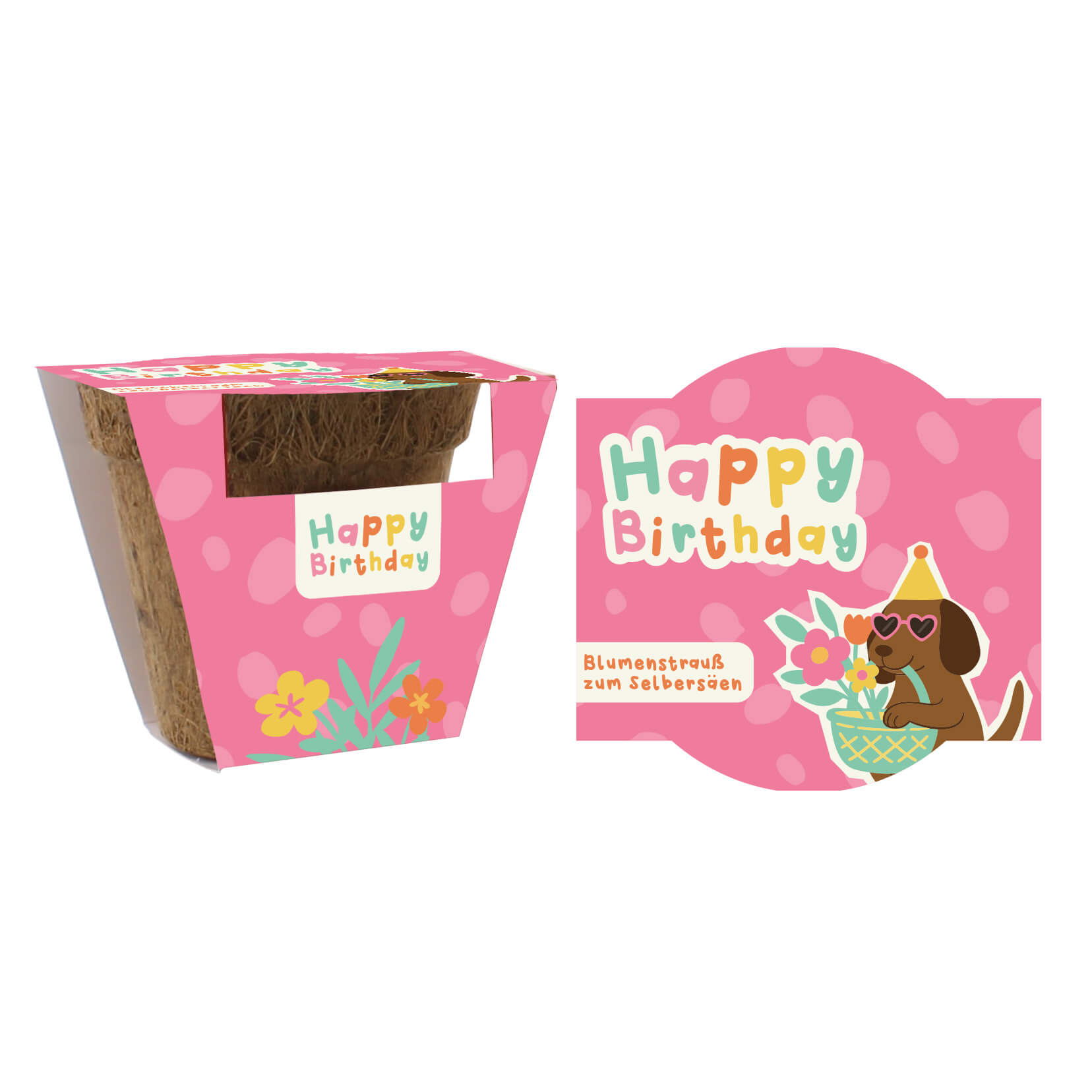 Blumengrüße Happy Birthday Dackel Blumensaat in Geschenkverpackung