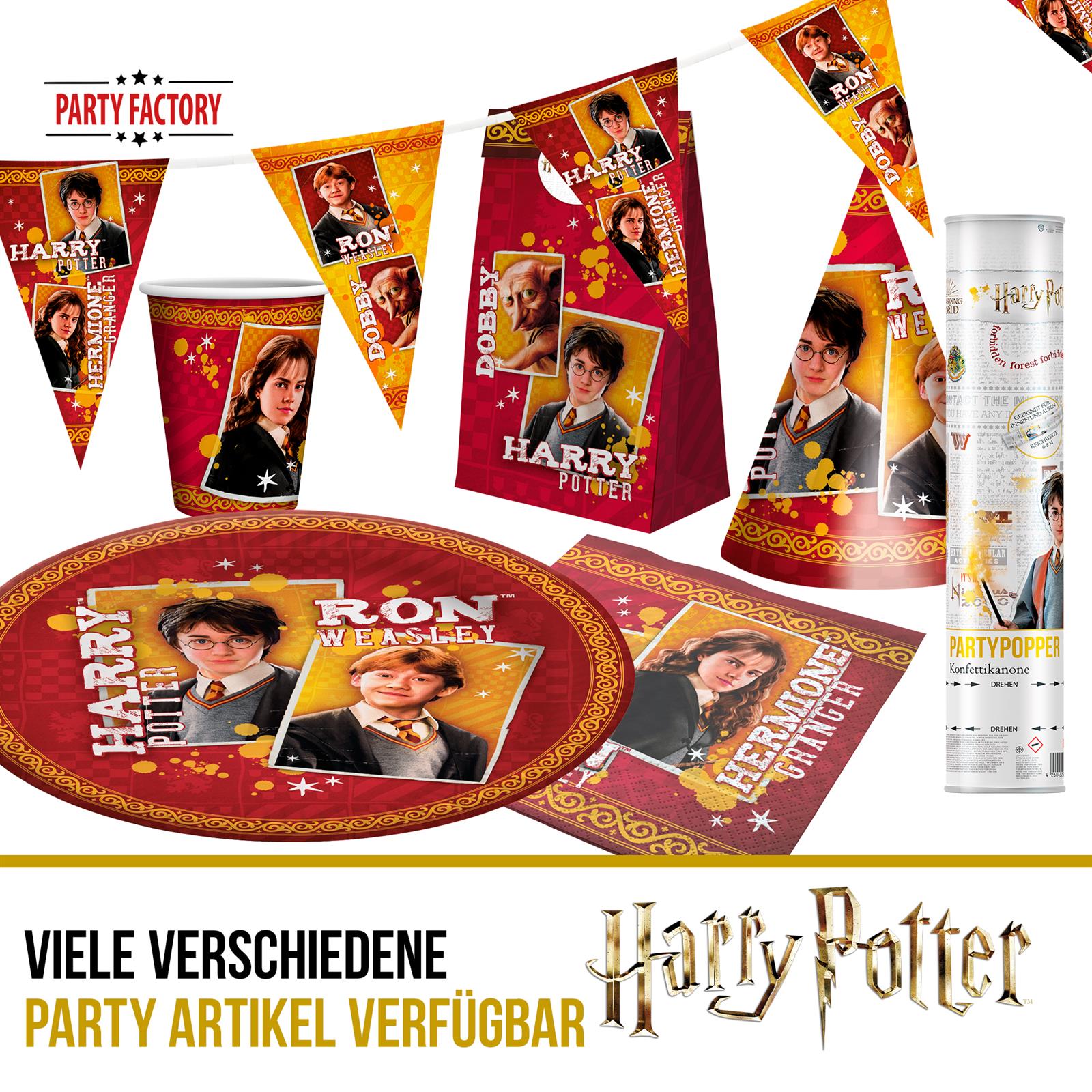 Harry Potter Papp-Teller 23 cm 10 Stück 4