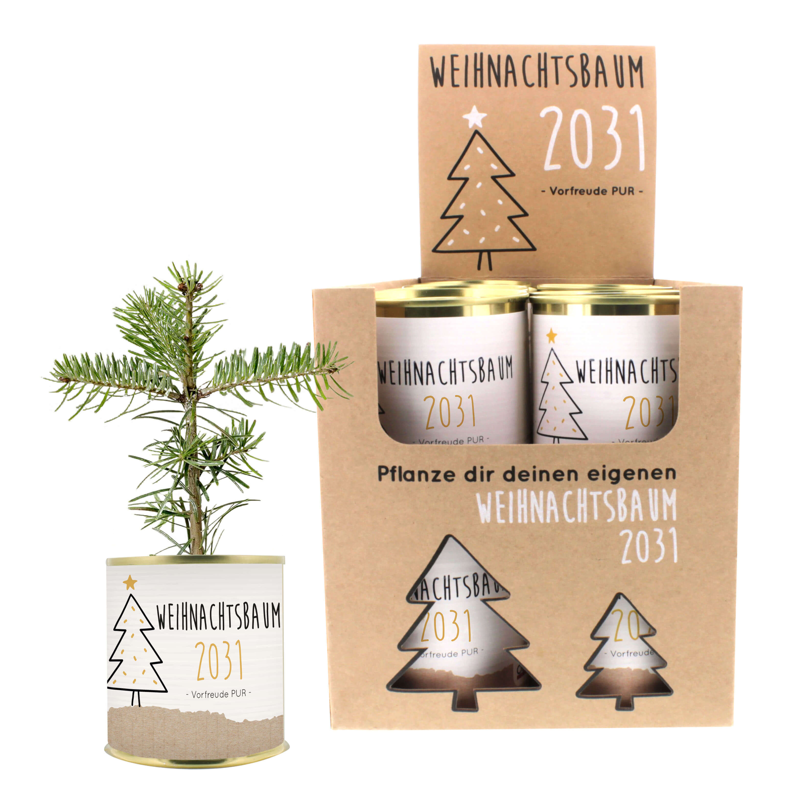 Weihnachtsbaum 2031 im 16er Display 1