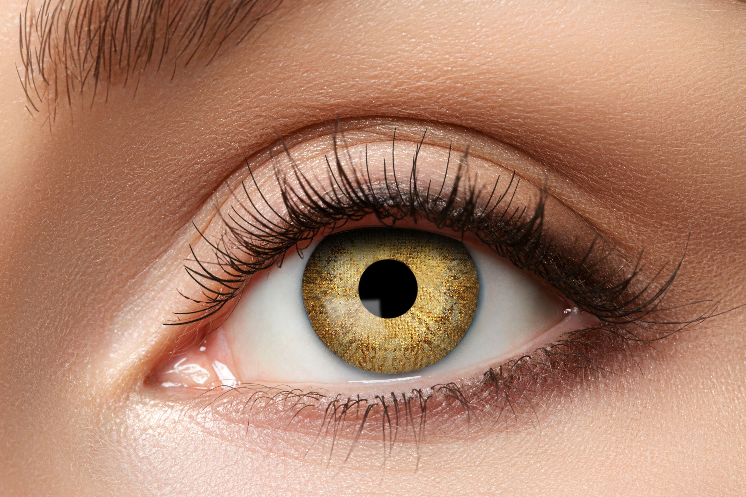 Zoelibat Eyecatcher 12 Monats-Kontaktlinsen Gold Sparkle 2