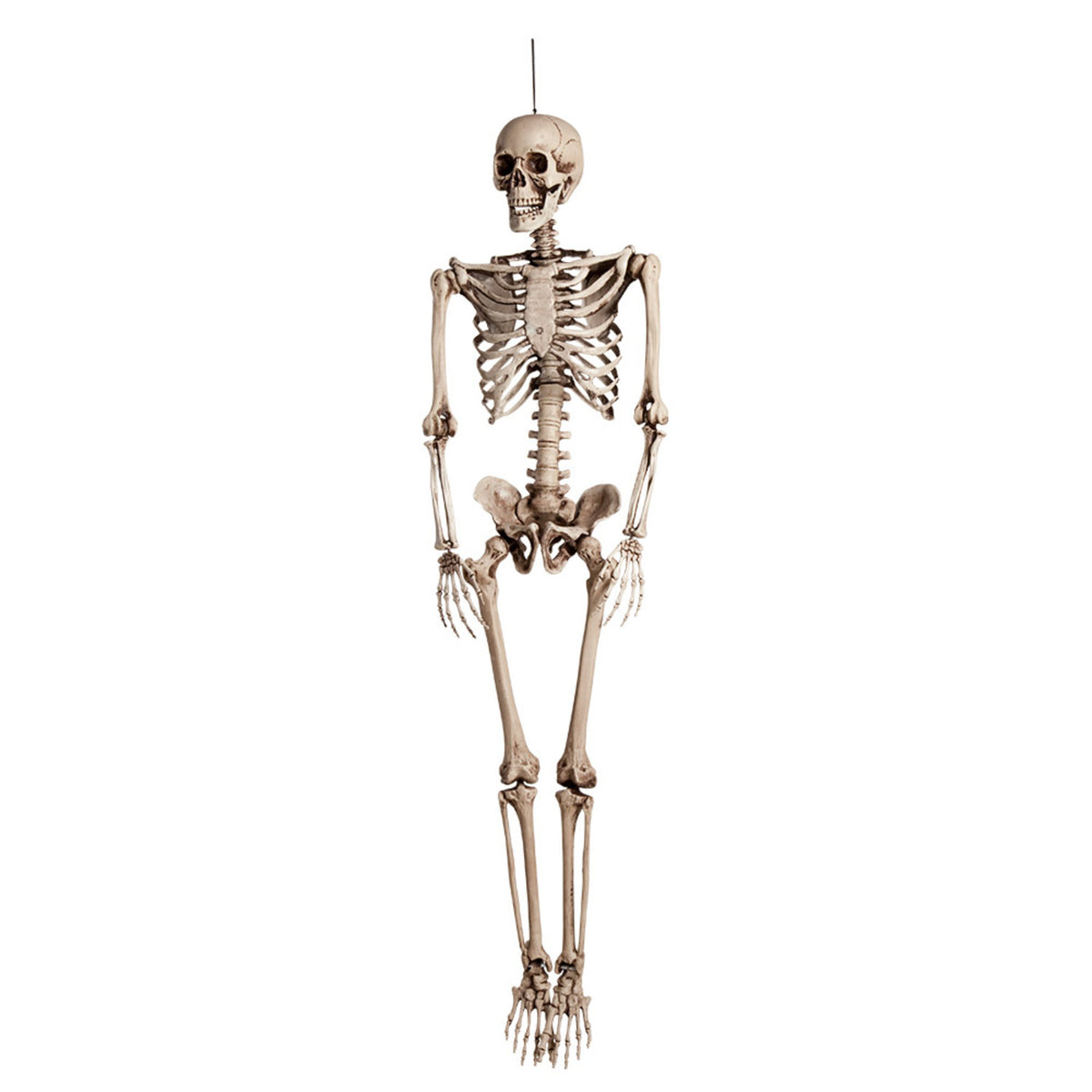 Hängedekoration Skelett 160 cm – Realistische Halloween-Deko für Haus & Party